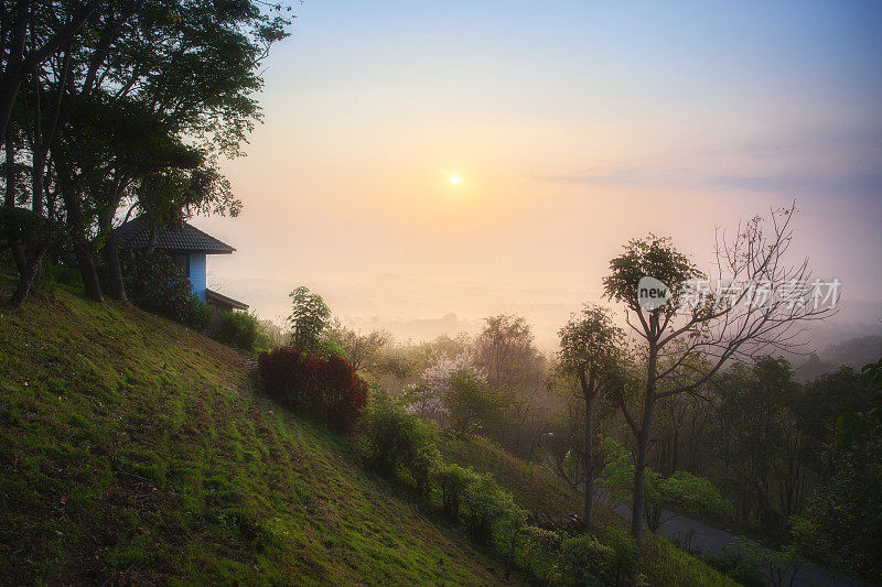 上午在泰国Khao Yai国家公园欣赏风景